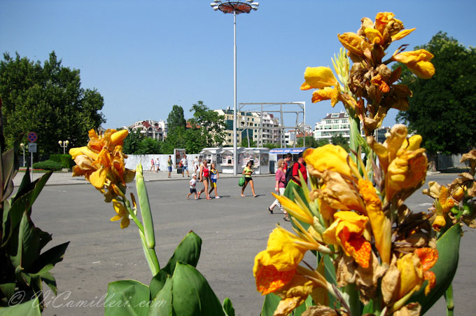 Болгария. В Бургасе