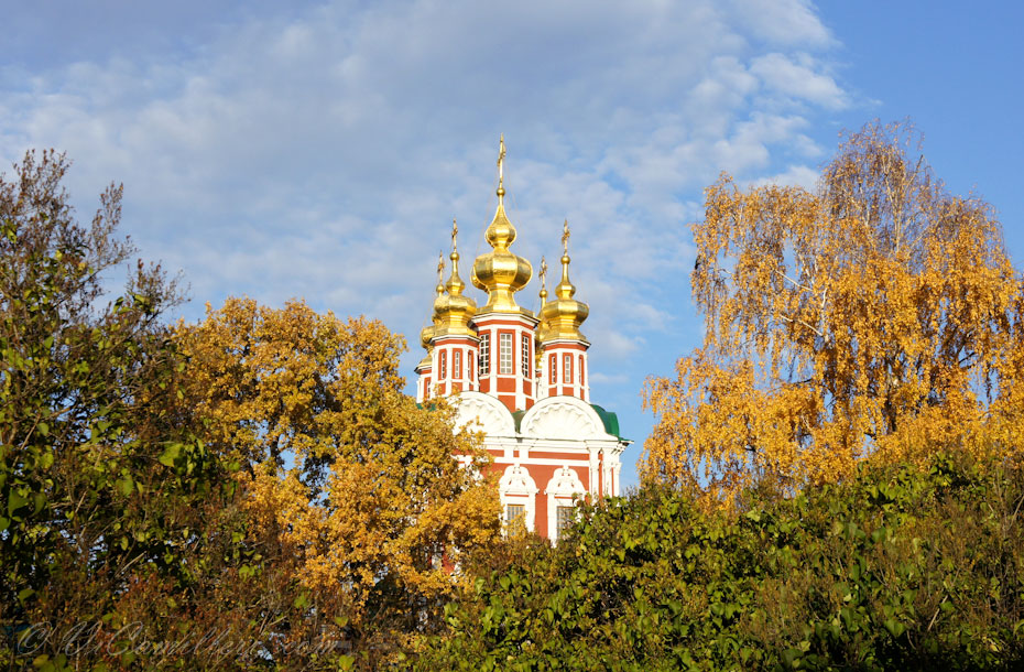 Москва. Осень в Новодевичьем монастыре