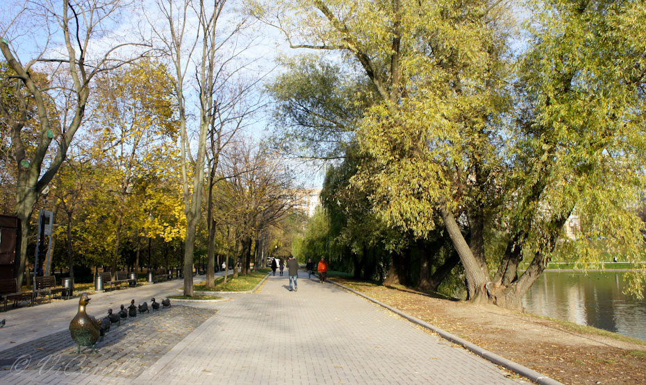 Москва. В Новодевичьем парке