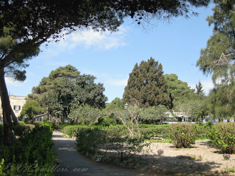 Мальта. Рабат. Парк Howard gardens