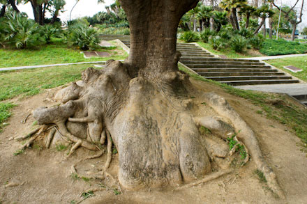 Испания. Барселона. На холме Монжуик