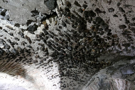 Термы Акиллиана (Terme Achilliane)