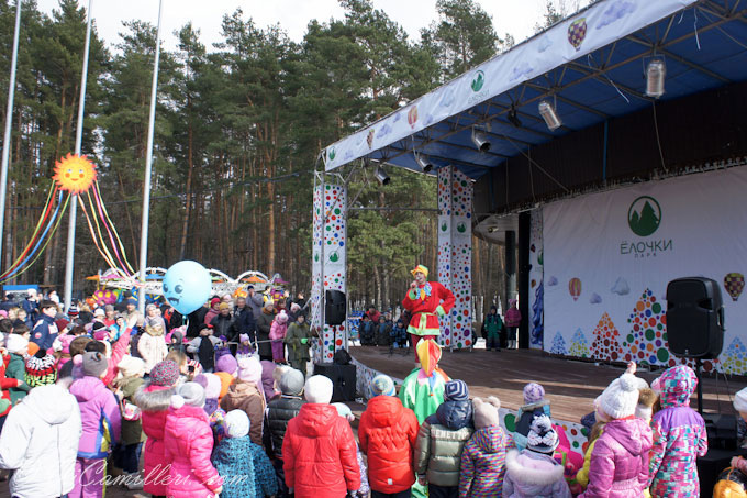 Масленица 2016 в Домодедово