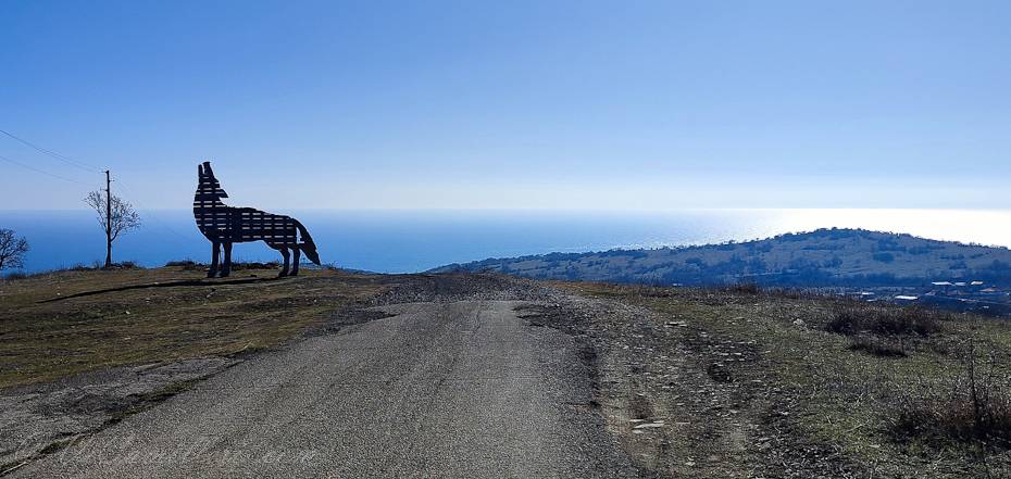 Болгария, село Эмона. Волк