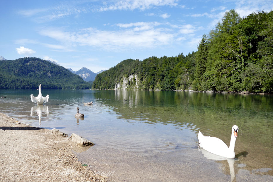 Германия. Швангау