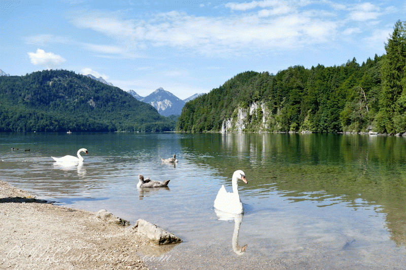 Германия. Швангау