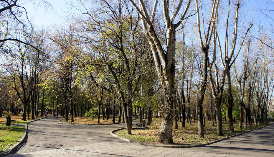 Осень в Москве. Сквер Девичьего поля