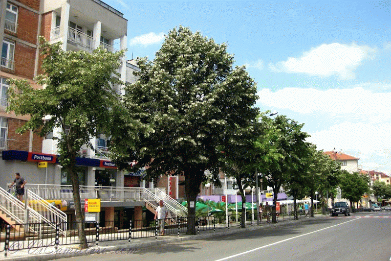 Болгария. Курорт Несебр