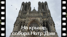 Взгляд на Реймс с крыши собора Нотр-Дам де Реймс в компании с Квазимодо. Собор Нотр Дам де Реймс