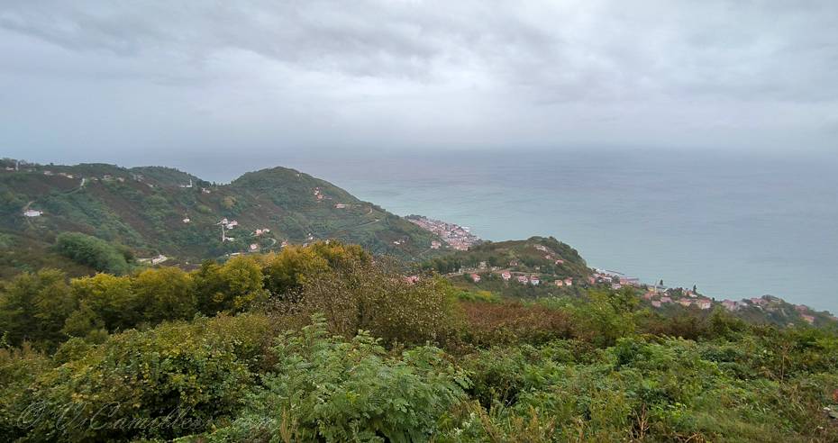 Турция, Орду