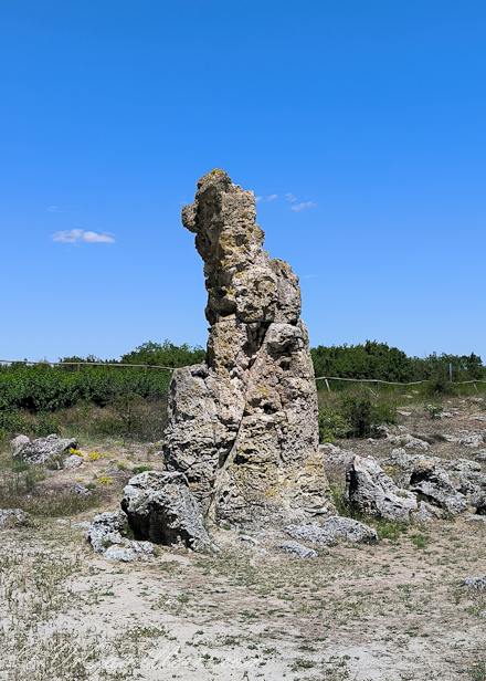Побитые камни, пудель