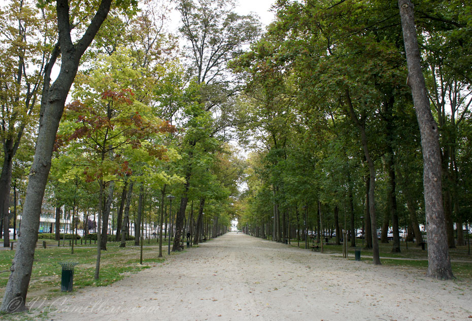Франция. Реймс. Осень