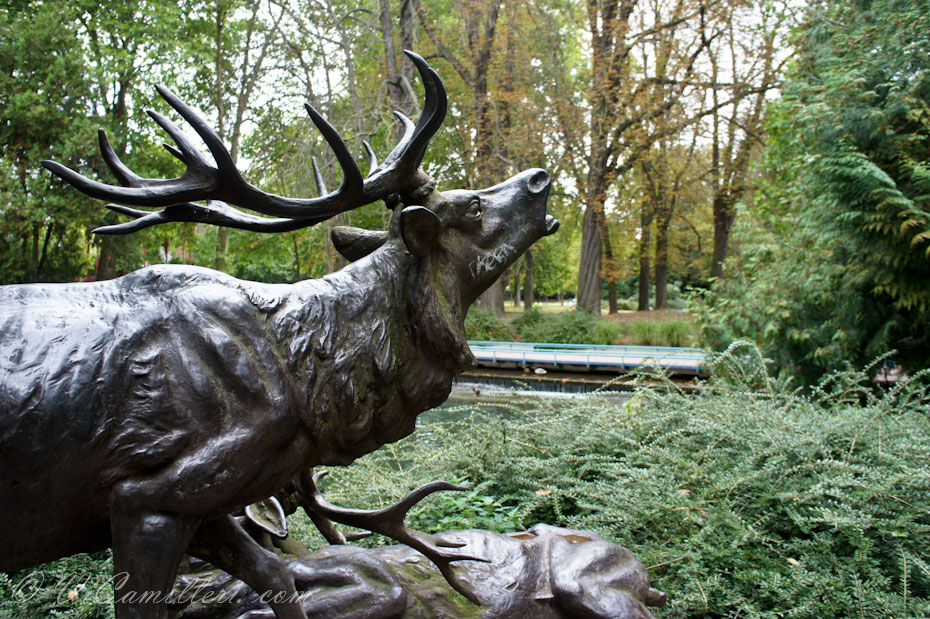 Осень в Реймсе