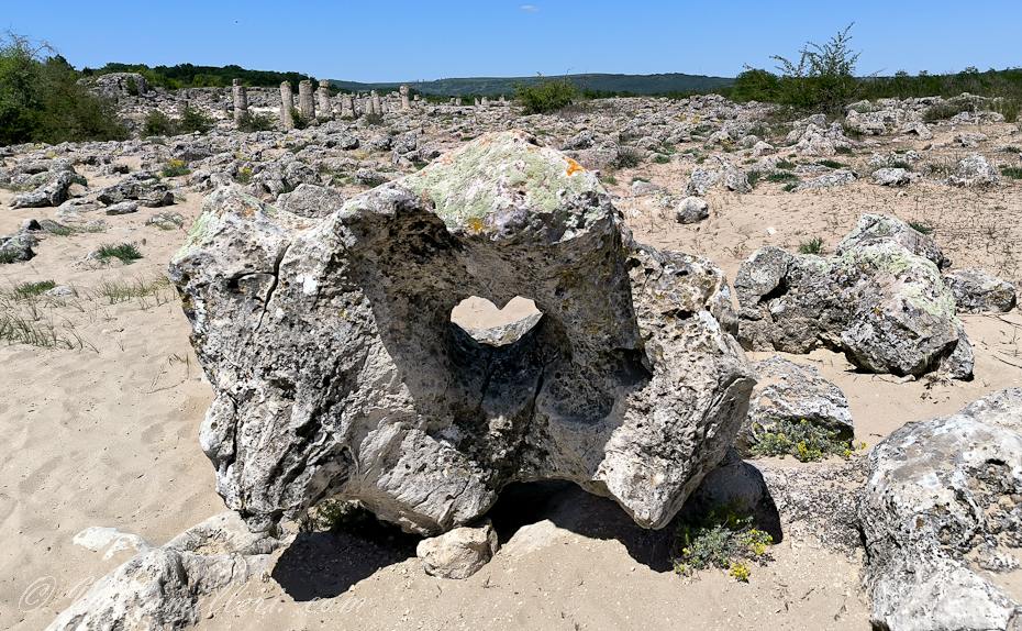 Сердце в Каменном лесу, Варна