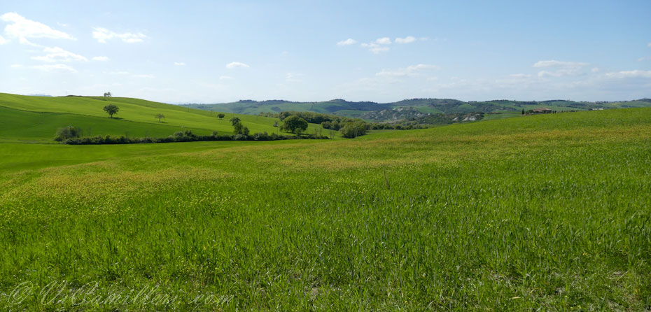Тоскана