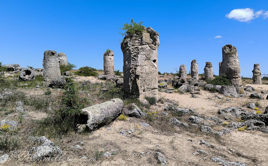 Каменный лес в Болгарии