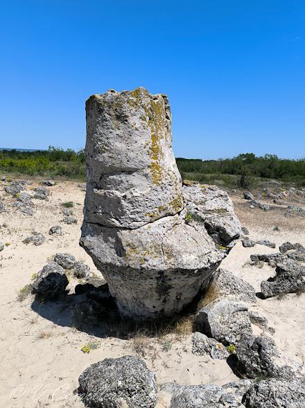Каменный лес в Болгарии