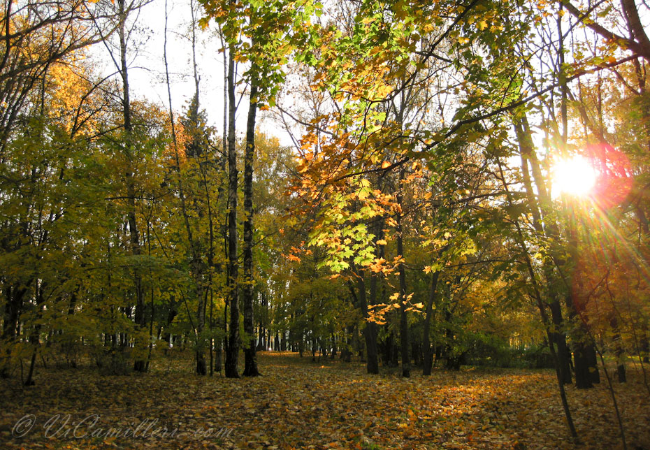 Осень